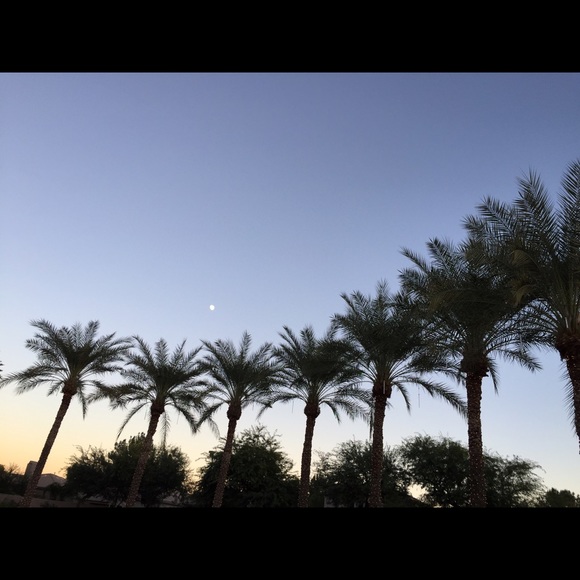 Profile Picture of Emily Chaston (@echaston) on Poshmark