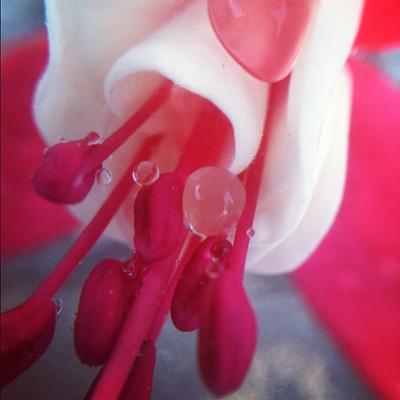 Profile Picture of Jeanette Harris (@sanmarinocat53) on Twitter