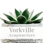 Profile Picture of Kevin Joubert (@kevintheacupuncturist) on Instagram