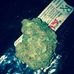 Profile Picture of Shawn Allen Nadeau (@john.nadeau.739) on Facebook