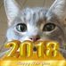 Profile Picture of Penny Hopper (@penny.hopper.524) on Facebook