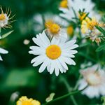 Profile Picture of onilda Rodrigues de Oliveira (@onildarodriguesde) on Instagram