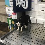 Profile Picture of 林 昌 (@meme_morin) on Instagram