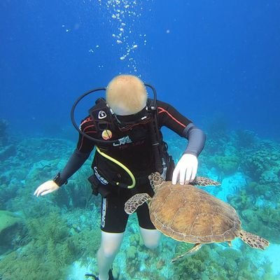 Profile Picture of Ryan Spaulding (@TheDimShady) on Twitter