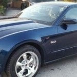 Profile Picture of Shawn Haley (@shadowpr31) on Instagram