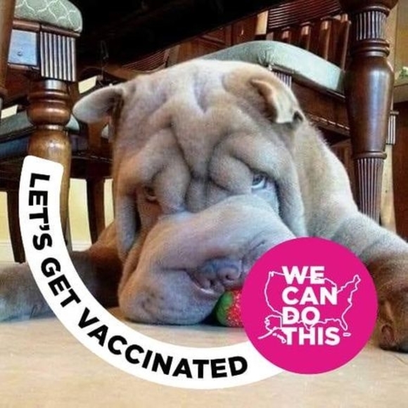 Profile Picture of Ryan Raffeld (@rrgreenpf) on Poshmark