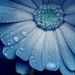 Profile Picture of Janette Feng (@janettefeng2003) on Pinterest