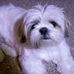 Profile Picture of Doris Mullins (@doris.mullins.184) on Facebook