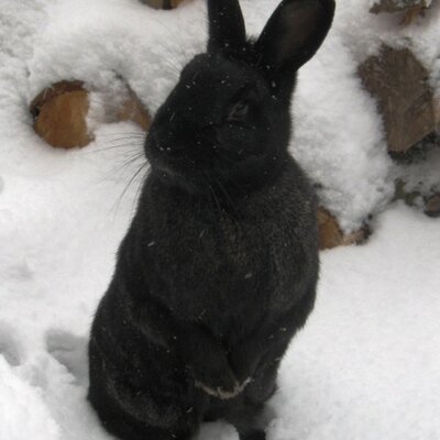 Profile Picture of Gemma Summers (@GemSum) on Twitter