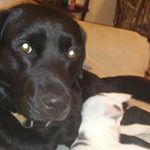 Profile Picture of Janet Barton (@bartonjanet1) on Instagram