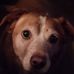 Profile Picture of Debbie Smith Witmer (@debbie.witmer) on Facebook