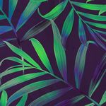 Profile Picture of Katelyn Ronquille (@katelyn_marie1215) on Instagram