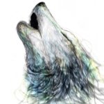 Profile Picture of Alex Tryon (@diamondwolf54) on Instagram