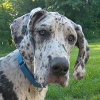 Profile Picture of Diane Foster (@diane-foster-28) on Quora