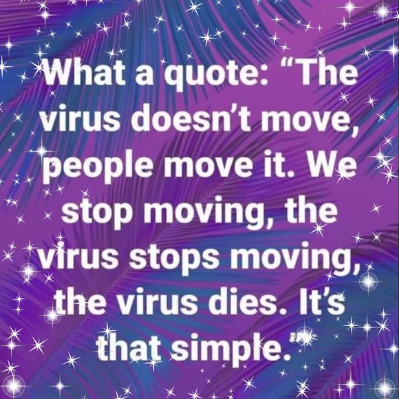 Profile Picture of Dulce Candies (@dmontiel17) on Poshmark