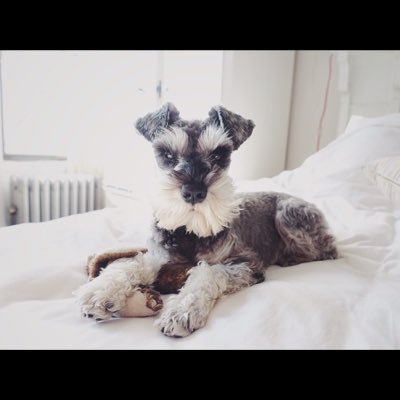 Profile Picture of Abigail Baldwin (@@abigailebaldwin) on Twitter