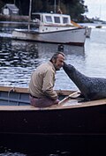 Profile Picture of Andre the Sealon Wikipedia