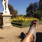 Profile Picture of Sue Timms (@mel2geri) on Instagram