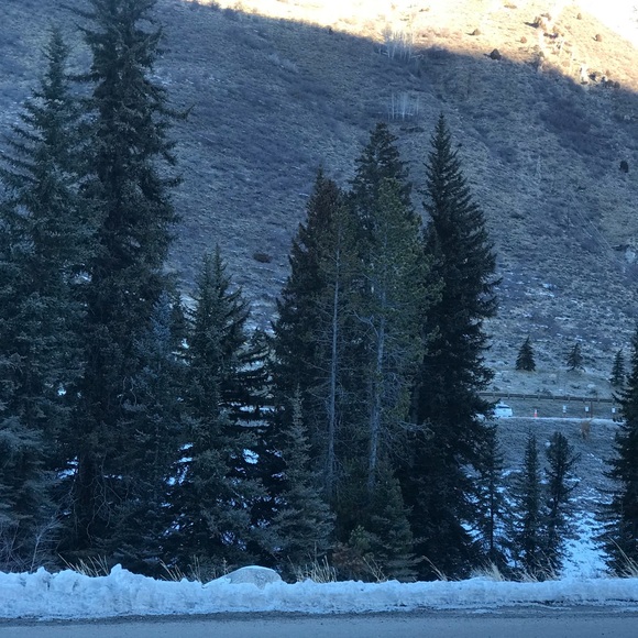 Profile Picture of Alba Ramirez (@alba2br) on Poshmark