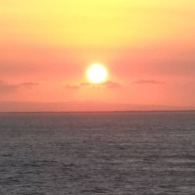 Profile Picture of Adam Bales (@adam_bales) on Twitter