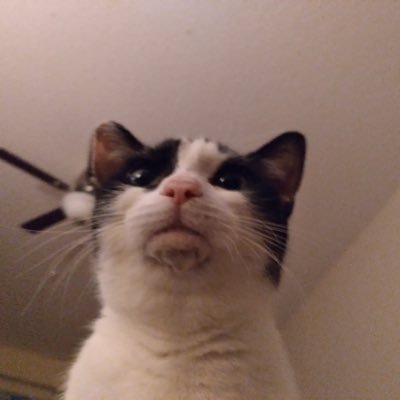 Profile Picture of Mark Mahoney (@MarkMahoney_1) on Twitter