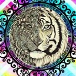 Profile Picture of Lynn Cooper (@lynncooper9863) on Instagram