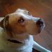 Profile Picture of Brian Jostmeyer (@bjostmeyer) on Pinterest