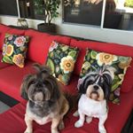 Profile Picture of Matthews Renee (@renee.matthews.75) on Instagram