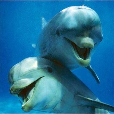 Profile Picture of Heather Moore (@BootseyCola) on Twitter