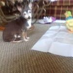 Profile Picture of Kim Isaacs (@isaacs.kim) on Instagram