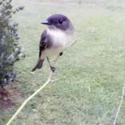 Kourtney McKenzie - Twitter Profile Picture of Kourtney McKenzie (@Love_My_Romeo) on Twitter