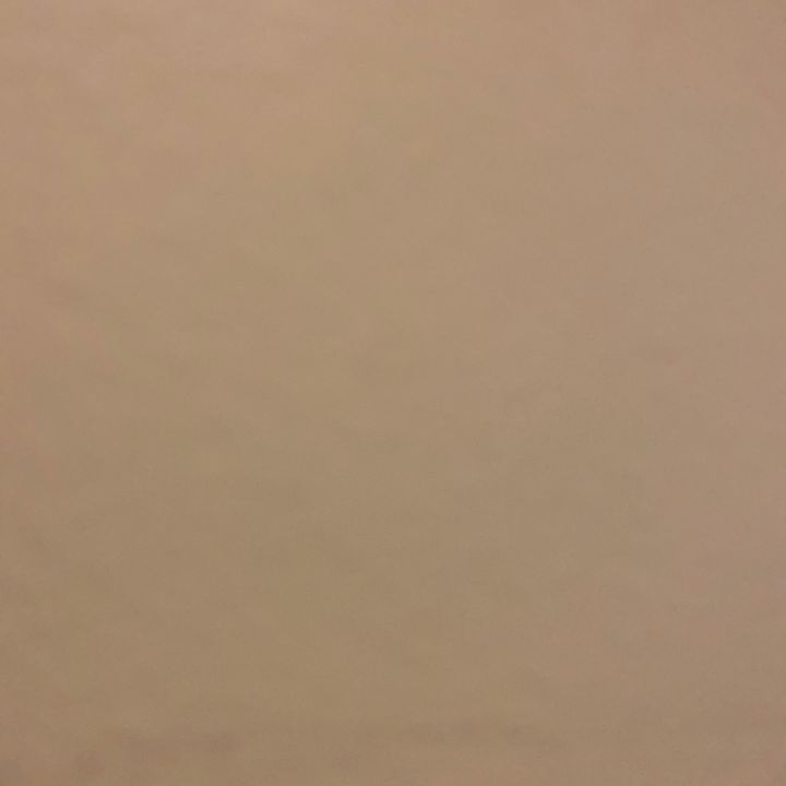 Profile Picture of Nicholas Roselli (@nicholasroselli) on Tiktok