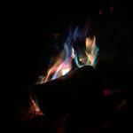 Profile Picture of Bruce Borrell (@bruceborrell) on Instagram