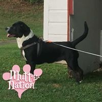 Profile Picture of Mandi Ison (@mandi-ison) on Quora