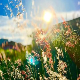 Jessica Fulghum - Pinterest Profile Picture of Jessica Fulghum (@jessicafulghum) on Pinterest