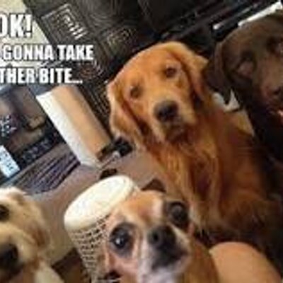 Profile Picture of Jeffrey Pollard (@PollardJeffrey) on Twitter