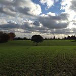 Andrew Ollerton - Instagram Profile Picture of Andrew Ollerton (@ollerton_andrew) on Instagram