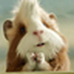 Profile Picture of Tyc@photography (@tyc@photography) on Flickr