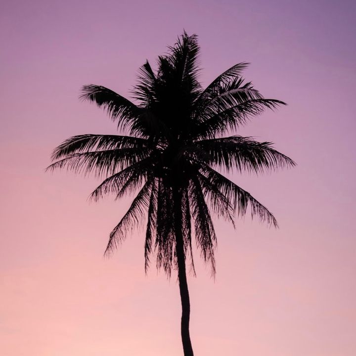 Profile Picture of lilys._.hi (@lilys._.hi) on Tiktok