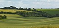 Profile Picture of Berkshireon Wikipedia