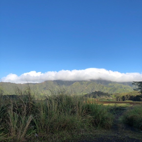 Profile Picture of Joseph Tichy (@jtichy3) on Poshmark