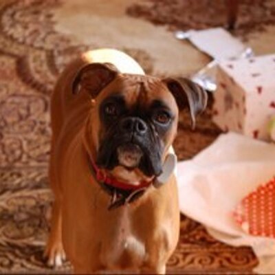 Profile Picture of Ralph Morano (@scribe2241) on Twitter