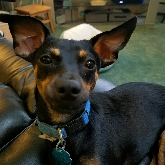 Profile Picture of Hailey Kasper (@hkasper666) on Poshmark