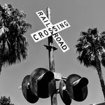 Profile Picture of Brian Leger (@rxrfan86) on Instagram