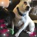 Profile Picture of Wendy Jeremy Juneau (@wendy.cronin.39) on Facebook