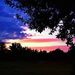 Profile Picture of Steven Hanner (@swhanner) on Pinterest