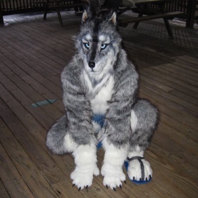Profile Picture of Storm Wolf (@Stormwolf1977) on Twitter