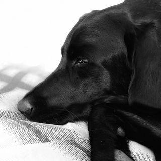 Profile Picture of Jeff Rodacker (@jeff.rodacker.1) on Facebook