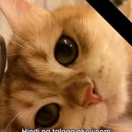 Profile Picture of Derek Dionsay (@Derek-Dionsay) on Facebook