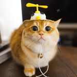 Profile Picture of William Meyer (@williammeyer65) on Instagram